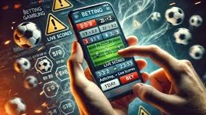 79bet55